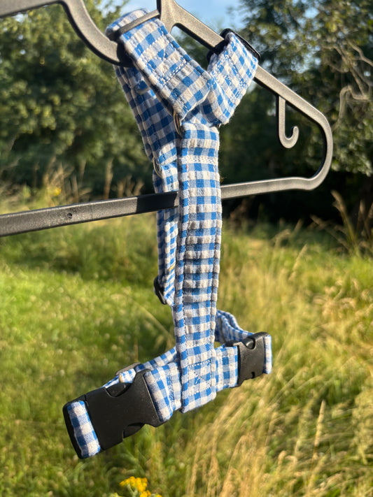 Harnais Vichy bleu