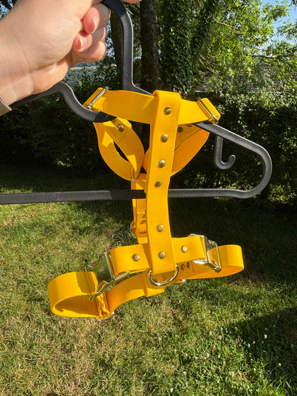 Harnais en biothane jaune