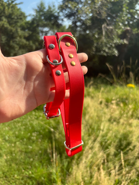 Collier biothane Rouge