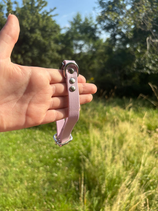 Collier biothane lila