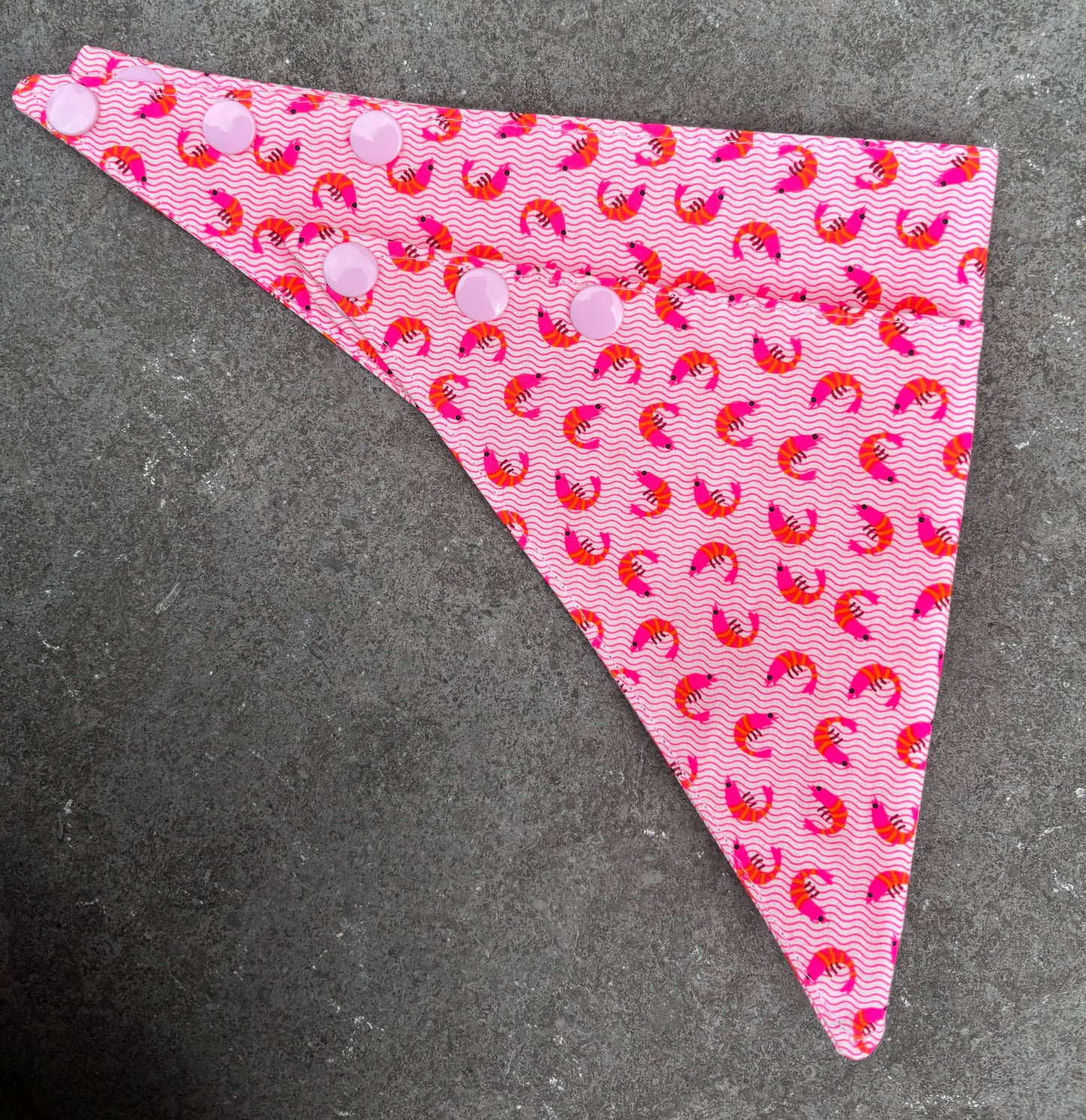 Bandana Crevettes