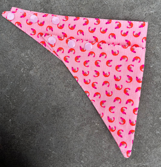 Bandana Crevettes