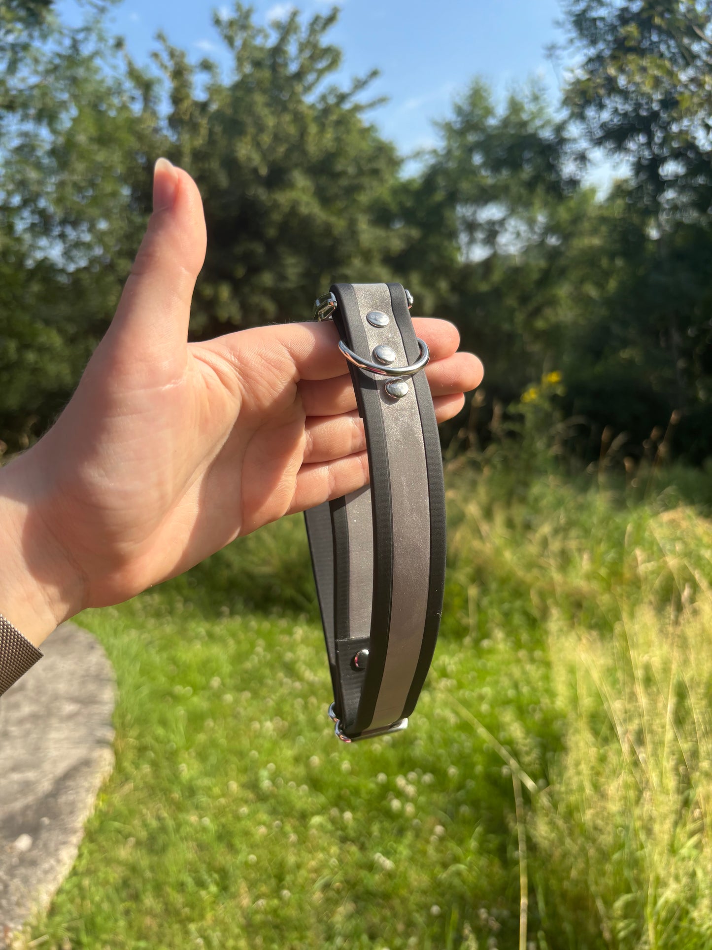 Collier biothane Noir réfléchissant