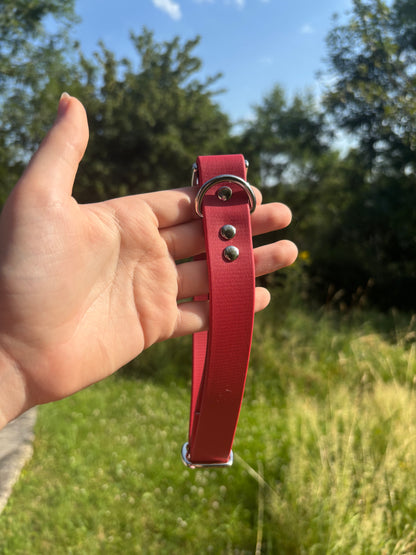 Collier biothane Rouge bordeaux