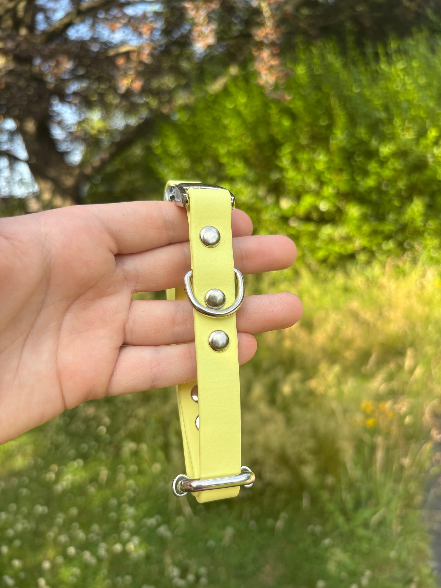 Collier biothane citron vert
