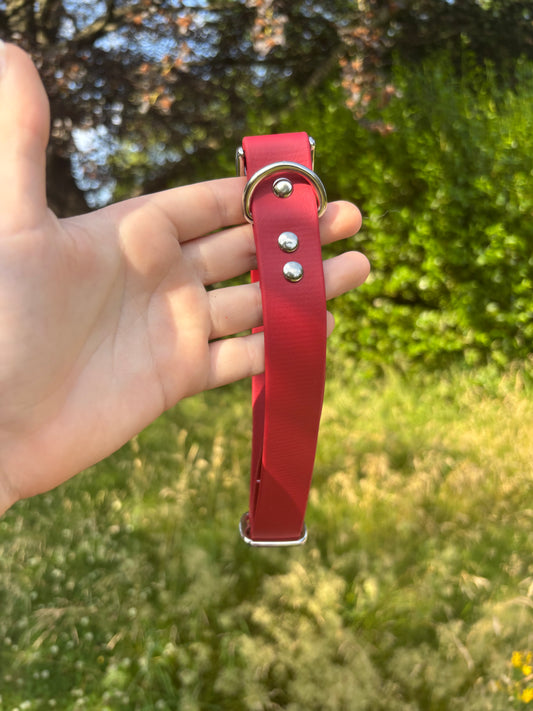 Collier biothane Rouge bordeaux