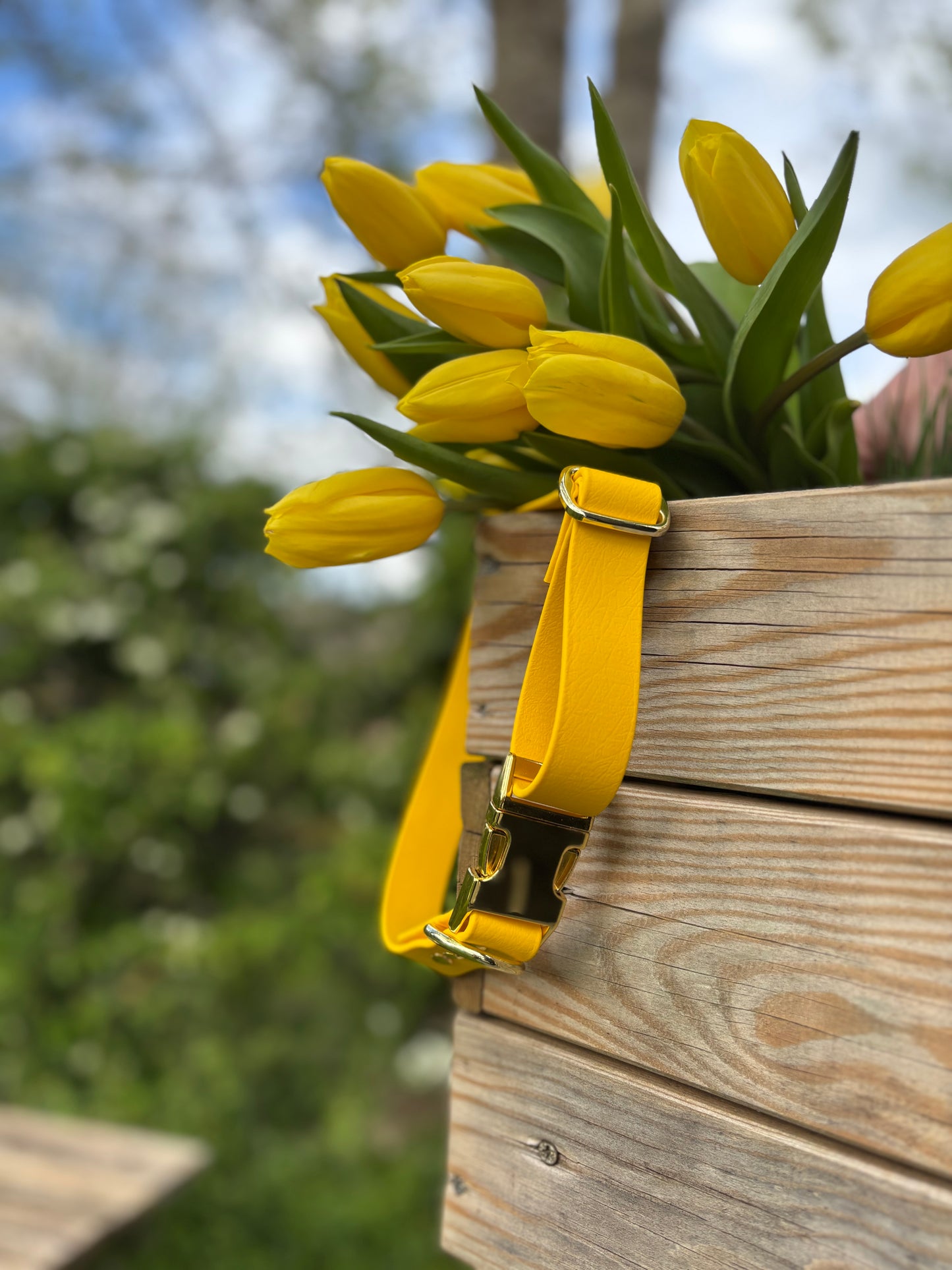 Collier biothane yellow