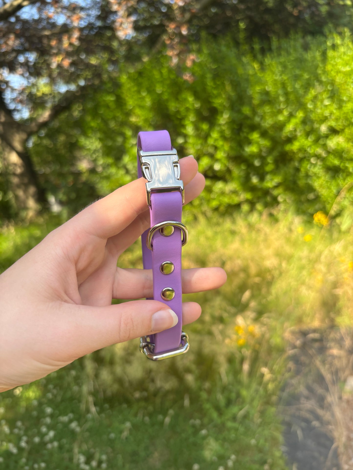 Collier biothane Mauve