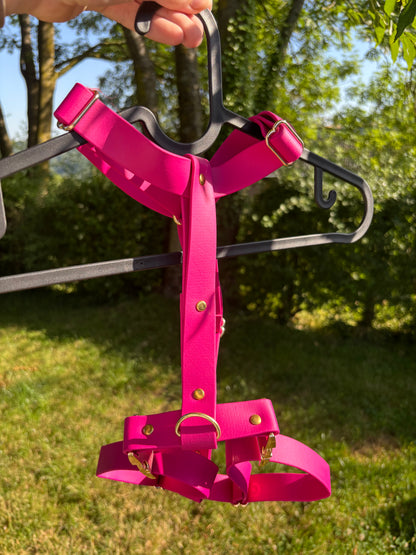 Harnais en biothane fushia