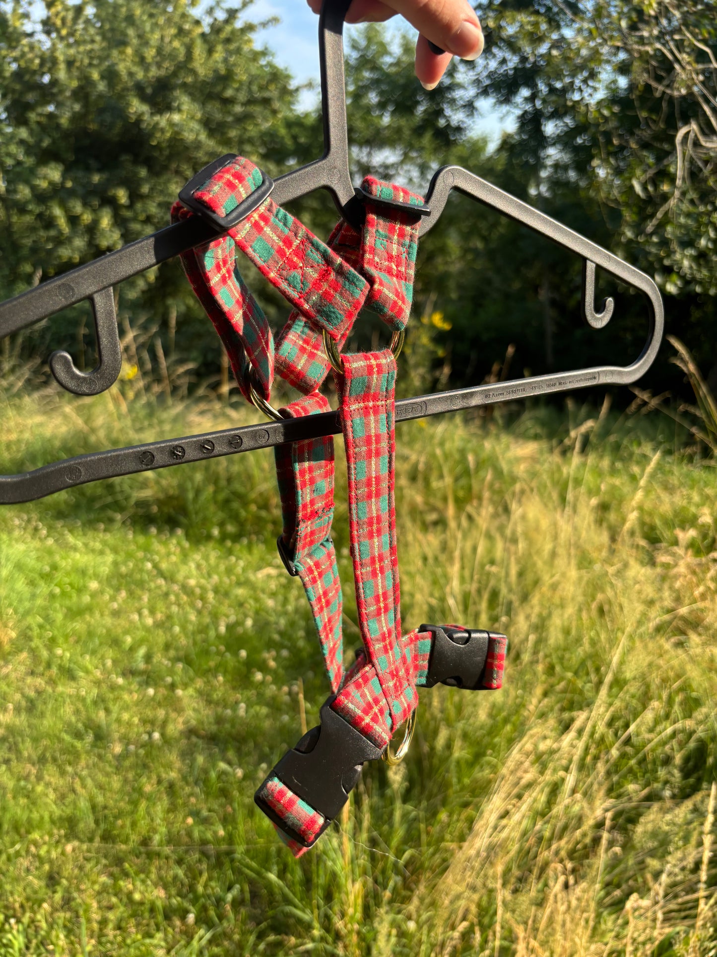 Harnais Tartan