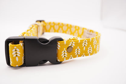 Collier Epis