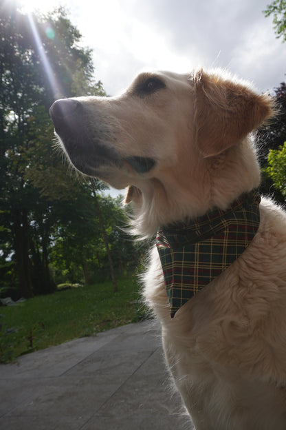 Bandana Tartan de Noël