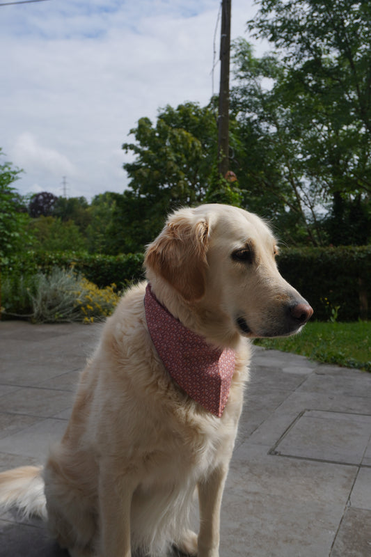 Bandana Tampis
