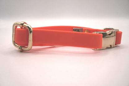 Collier biothane Orange fluo