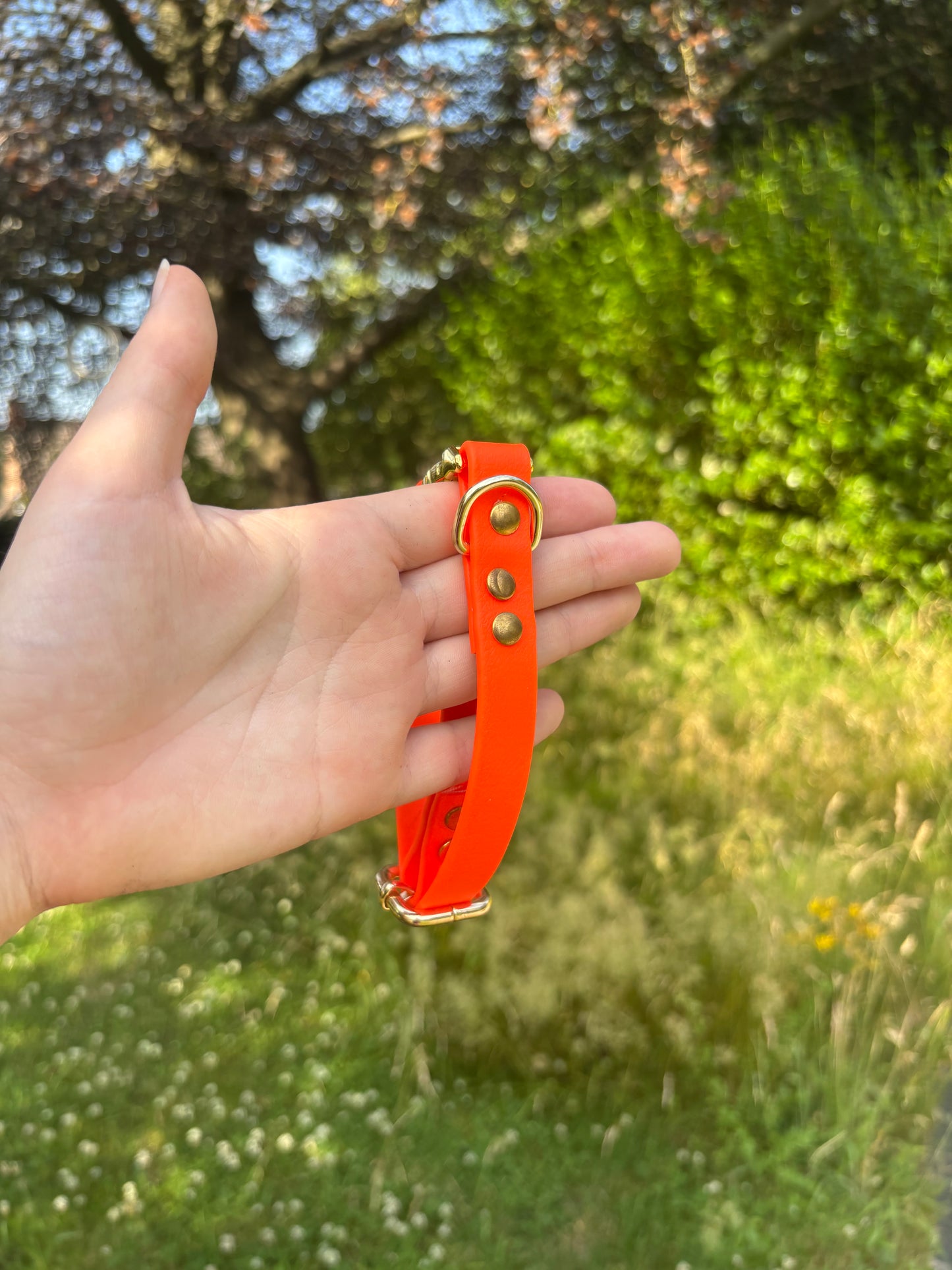 Collier biothane Orange fluo