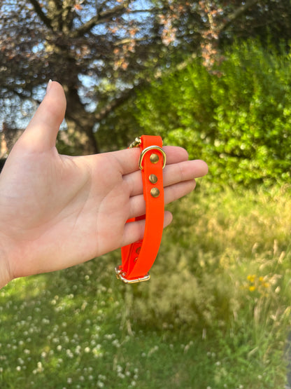 Collier biothane Orange fluo