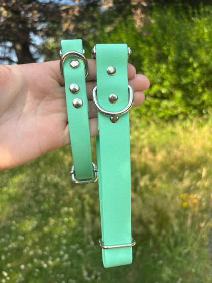 Collier biothane Mint