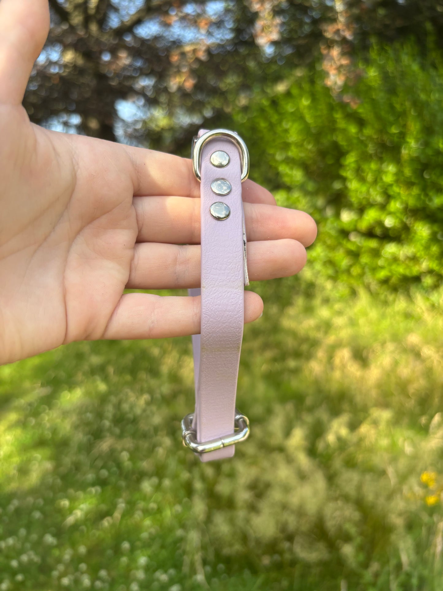 Collier biothane lila
