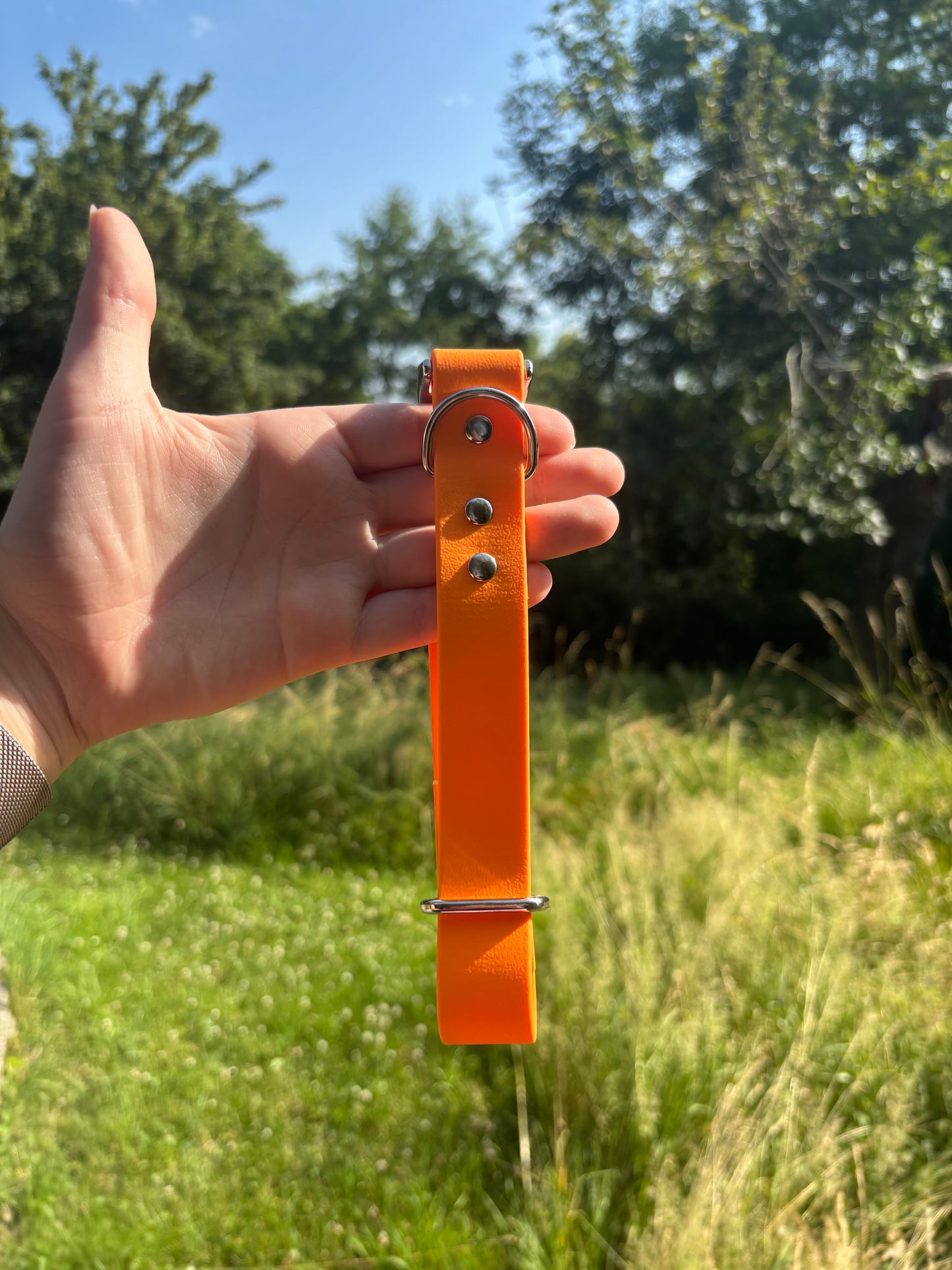 Collier biothane Peach