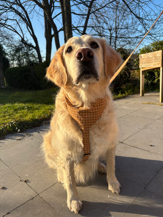 Bandana Lola brun