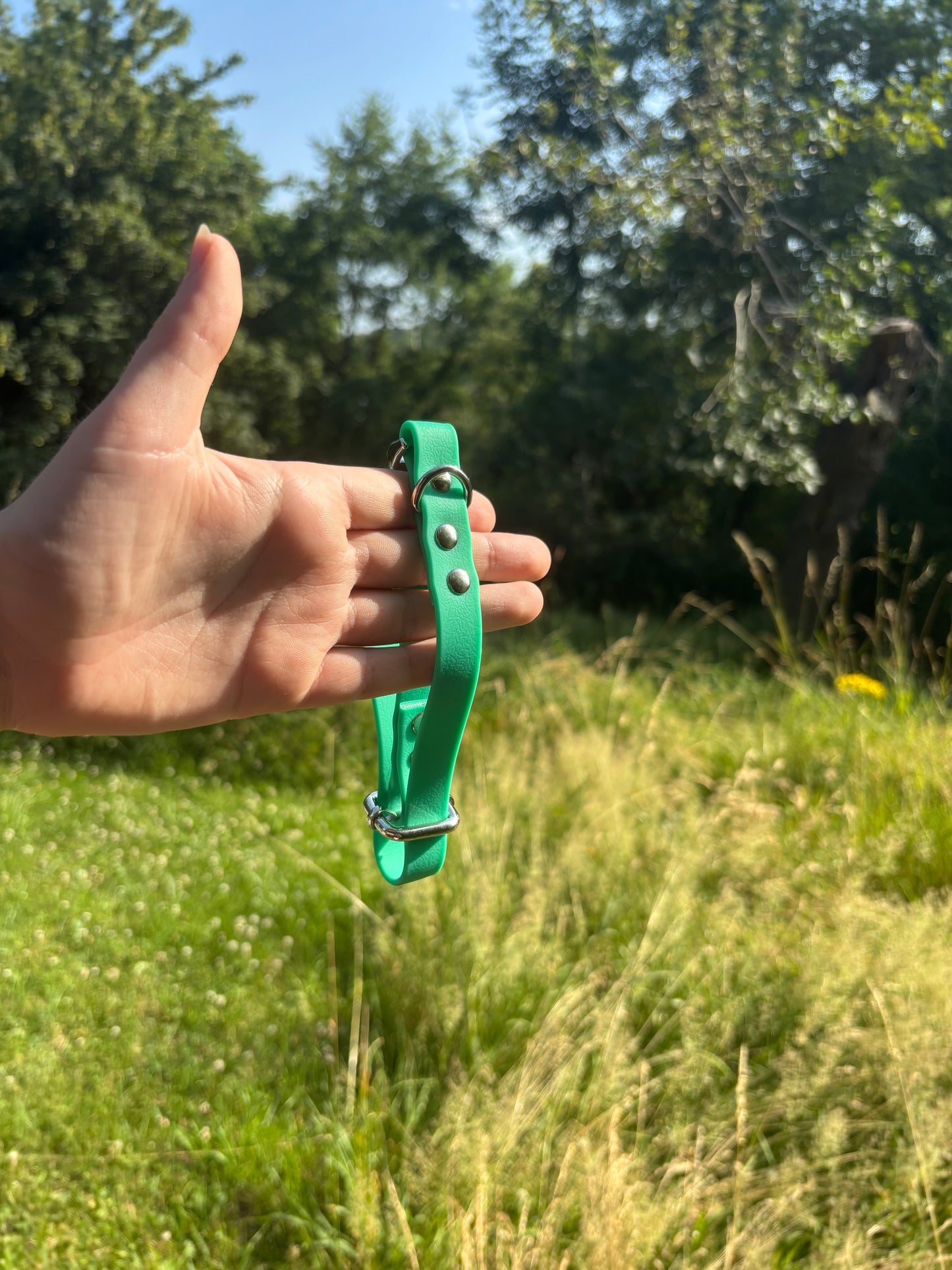 Collier biothane Vert