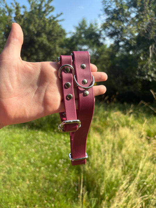 Collier biothane bordeaux
