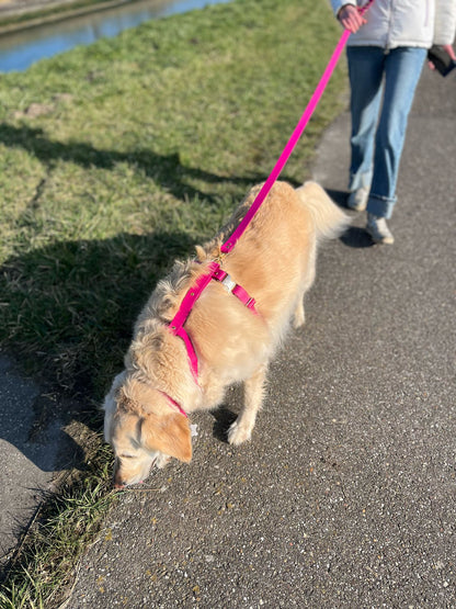 Harnais en biothane fushia