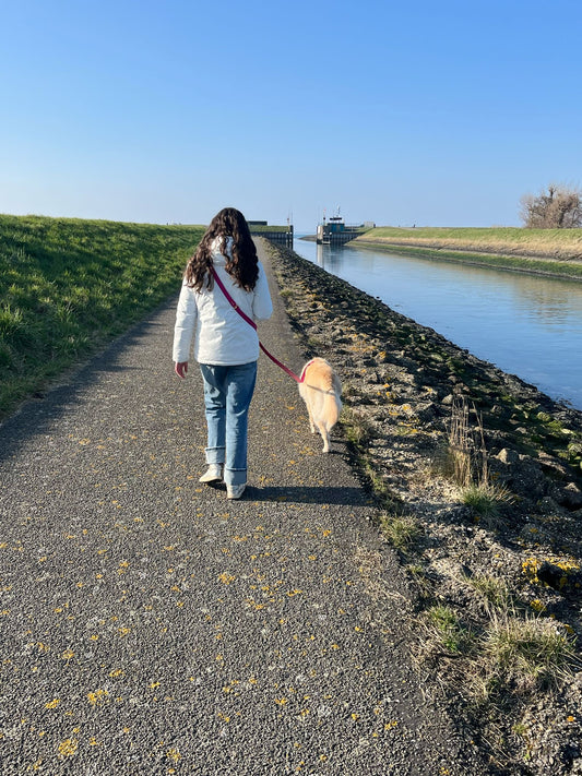 Laisse biothane Multi-positions + 1 m