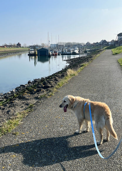 Harnais en biothane blue