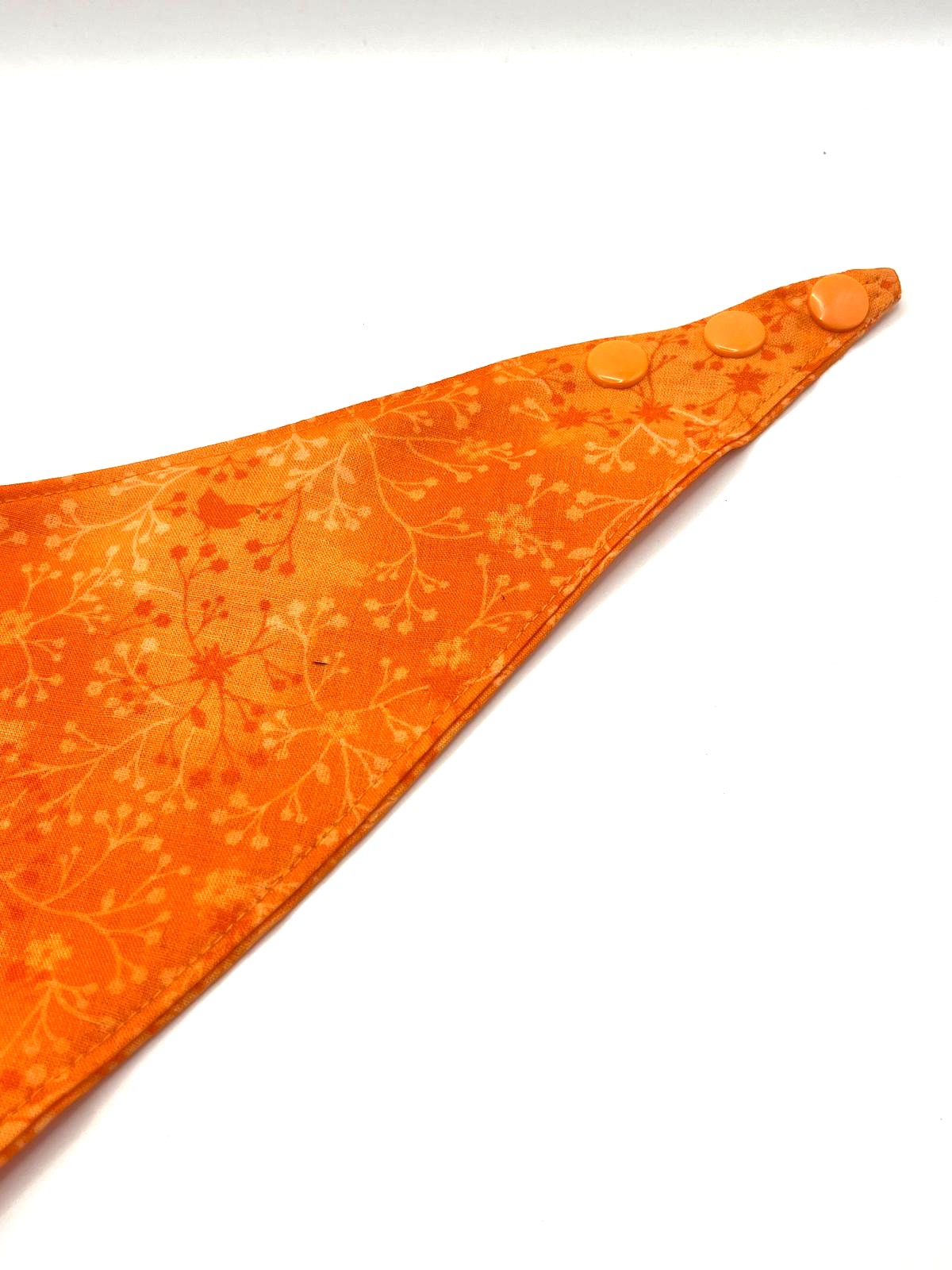 Bandana Sun