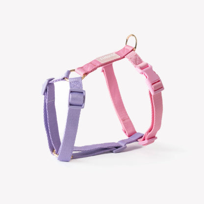 'Harnais pour chien - Lavande et Rose'