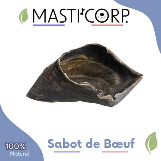 Sabot De Boeuf - DESTOCKAGE PROMO - mastication chien