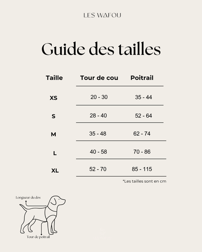 Harnais tweed chien - Bleu ciel