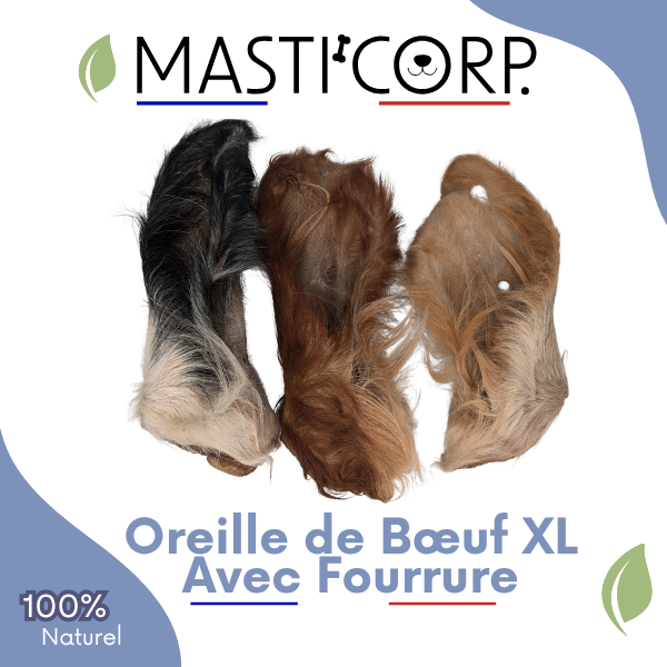 Oreille De Boeuf XL Avec Fourrure - Mastication Chien