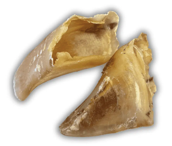Sabot de veau