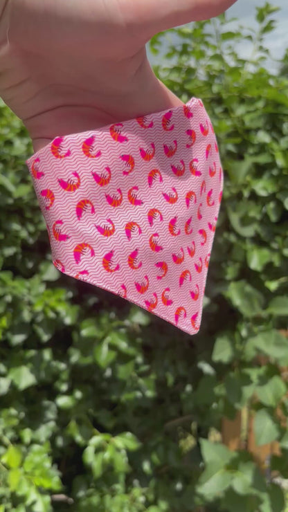 Bandana Crevettes